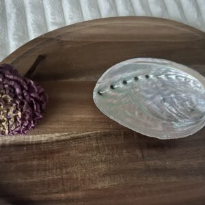 Les coquilles d’ormeau