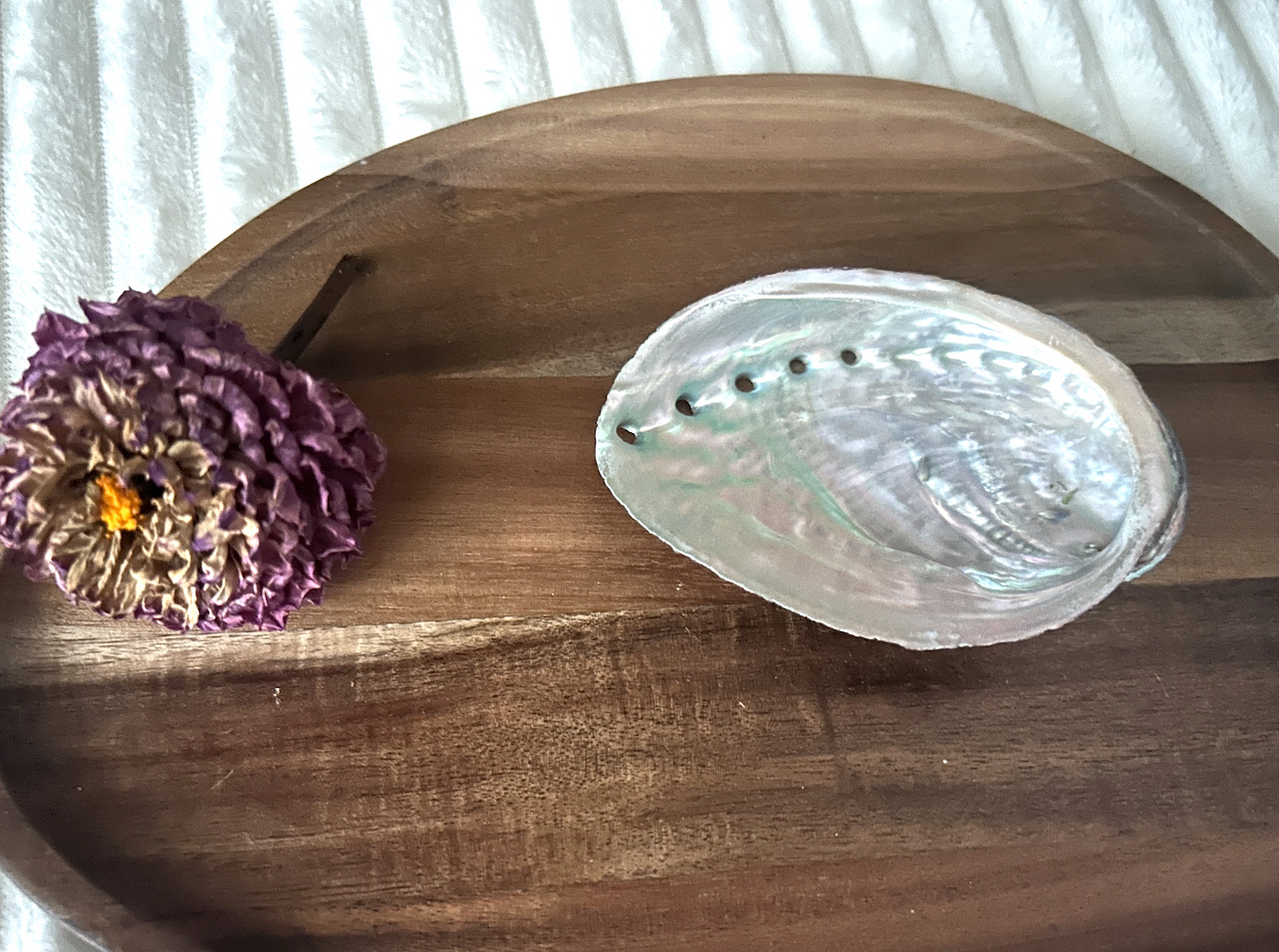 Coquille d’ormeau – Support naturel pour fumigation & encens